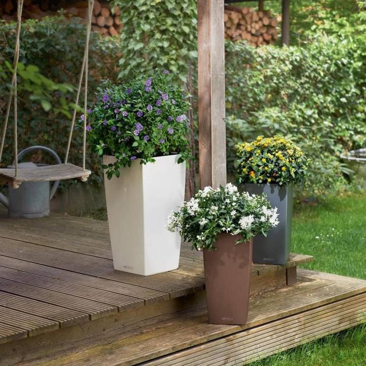 Immagine prodotto Lechuza Colore Cubico (22 cm)