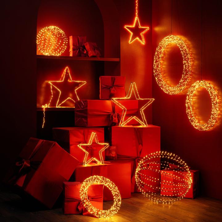 Image du produit STT Étourneau javanais