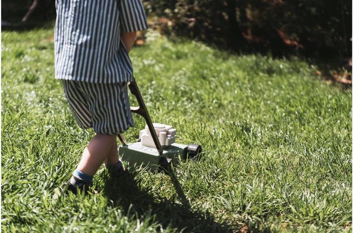 Actual product image dantoy Lawn mower