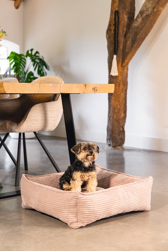 Productafbeelding Designed by Lotte Geribbeld (Hond)