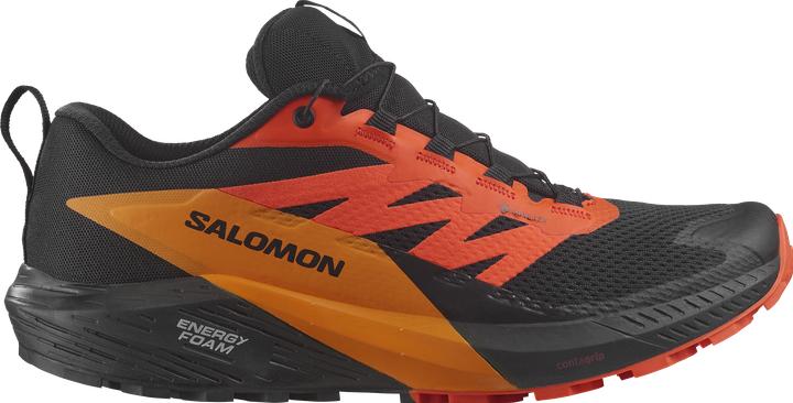 Image du produit Salomon Sense Ride 5 GTX Chaussures de trail running pour hommes (44)