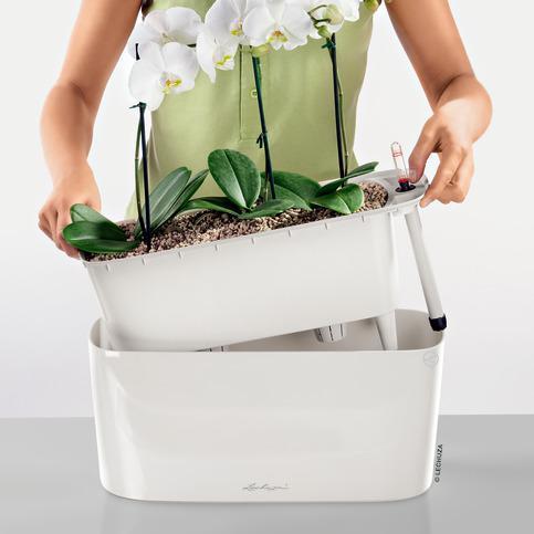 Produktbild Lechuza Delta (40 x 15 x 18 cm)