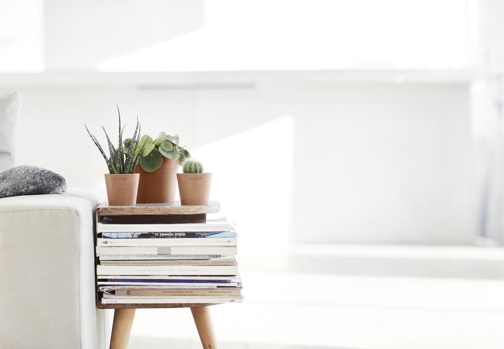 Immagine prodotto Ecopots Amsterdam Mini (13 cm)