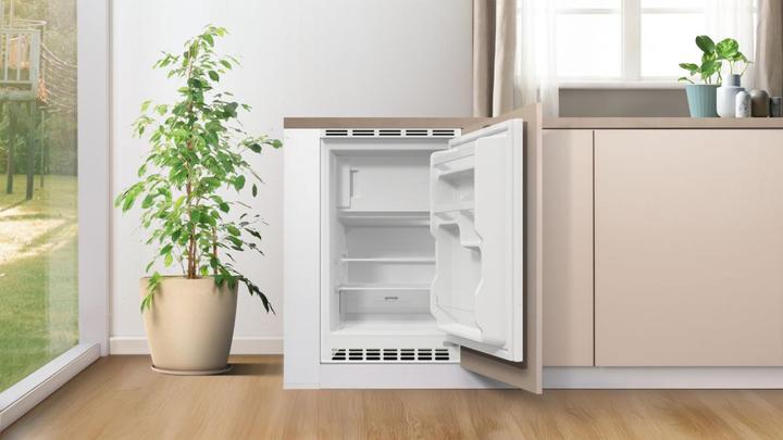 Actual product image Gorenje RBIU48E21 (82 l)