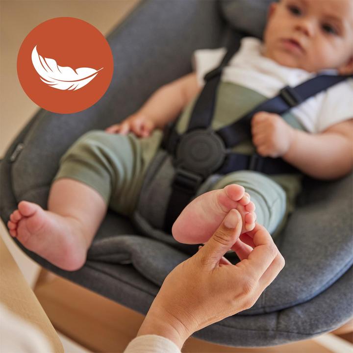 Produktbild Hauck Alpha Newborn Set Pro (Treppenhochstuhl)