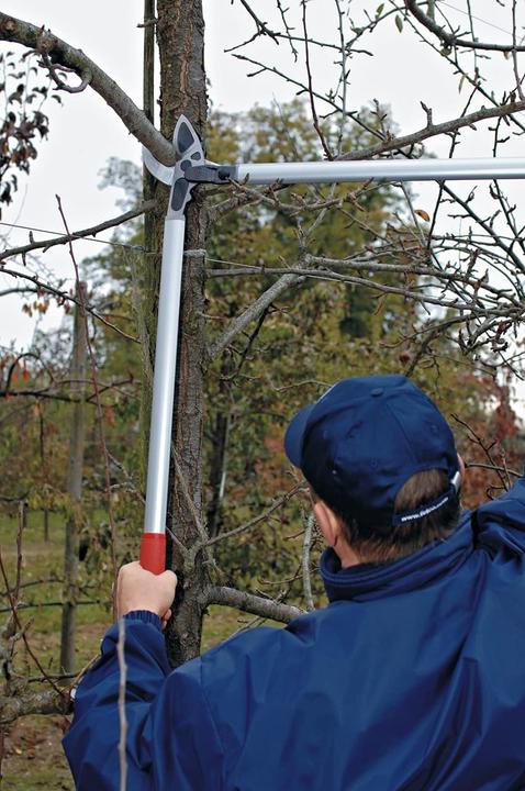 Actual product image Felco Two-hand lopping shears Single