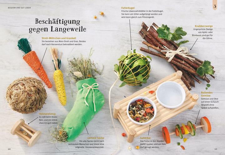 Actual product image Neugierige Meerschweinchen - So fühlen sie sich wohl (German, Immanuel Birmelin, 2015)