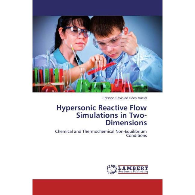 Hypersonic Reactive Flow Simulations in Two-Dimensions, Fachbücher von Edisson Sávio de Góes Maciel