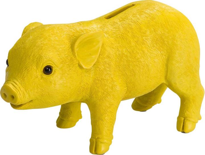 Image du produit BYYU Piggy