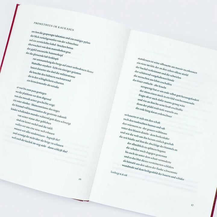 Produktbild Inventur des Sommers (Deutsch, Raoul Schrott, 2023)