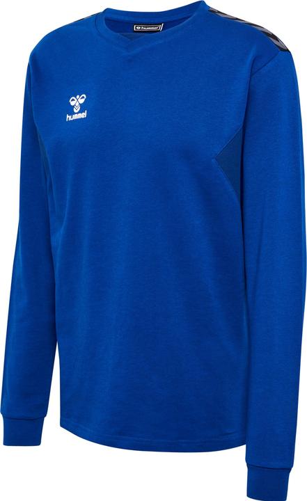 Image du produit hummel Hmlauthentic Co Training Sweat (XS)