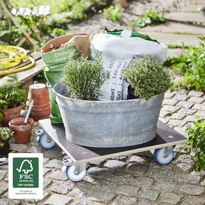 Produktbild Wagner System Transportroller (300 kg)