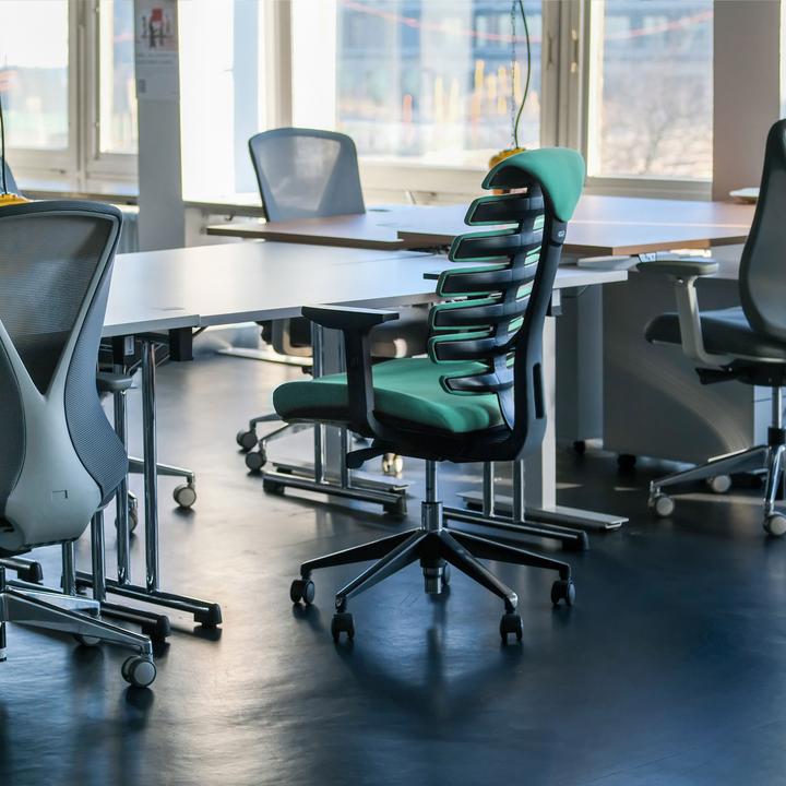 Actual product image Hjh Office Ergo Line Ii (45 - 55 cm)