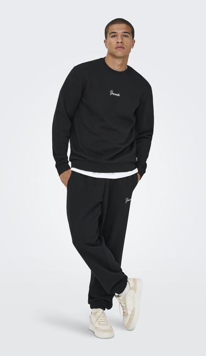 Image du produit Only & Sons Sweatshirt ONSCERES SKI Pullover (L)