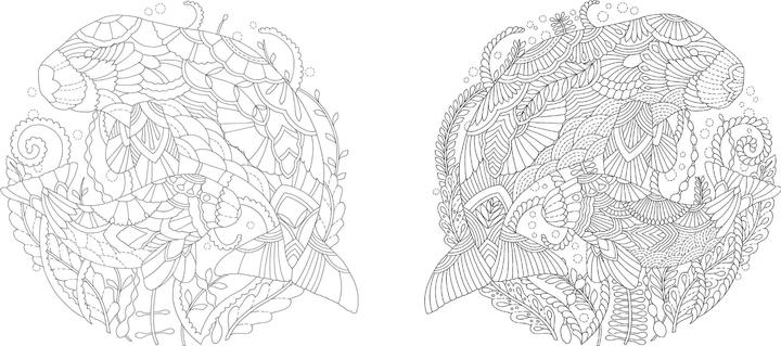 Actual product image Millie Marotta's Wonderful Planet