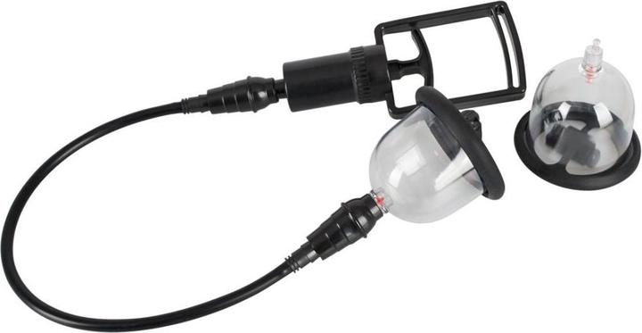 Actual product image Bad Kitty Nipple Cups