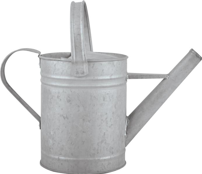 Actual product image Esschert Design Watering can (1.50 l)