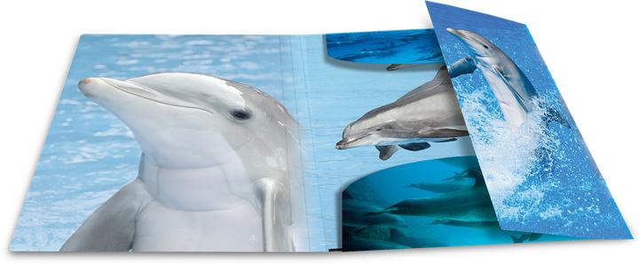 Immagine prodotto HERMA Cartella (A4, 1 x)