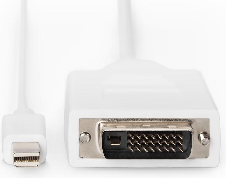 Image du produit Digitus Mini DisplayPort — DVI (3 m, DisplayPort, DVI, 1.1)