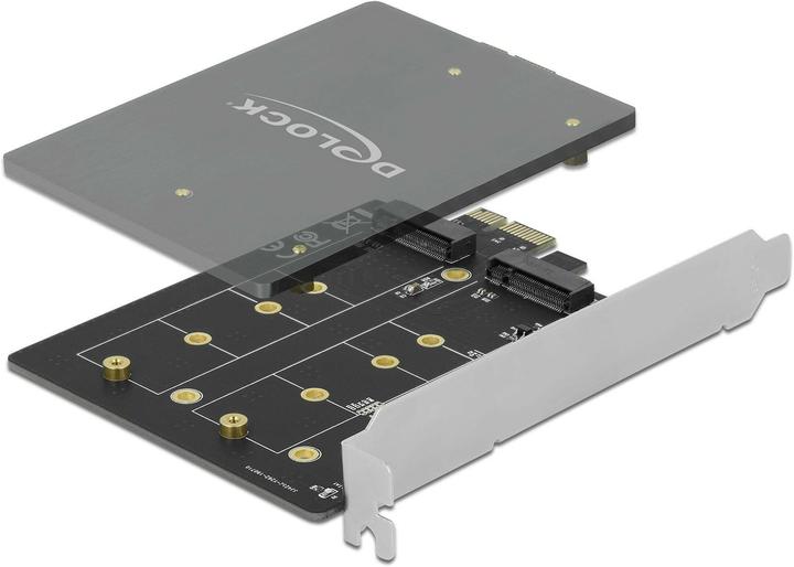 Actual product image Delock Host Bus Adapter PCIe x1 card to 2x M.2 Key B bootable