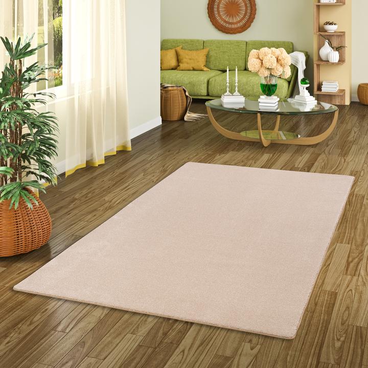 Produktbild Snapstyle Hochflor Luxus Velours Teppich Touch (100 x 300 cm)
