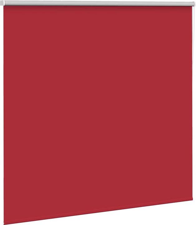 Actual product image vidaXL Verdunkelungsrollo (160 x 175 cm)