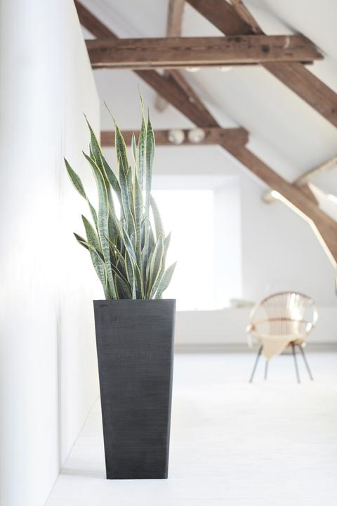 Produktbild Ecopots Rotterdam High (32 x 32 x 70 cm)