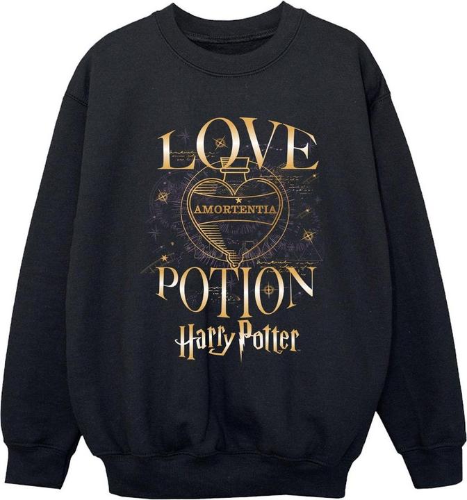 Produktbild Sweatshirt Jungen (116)