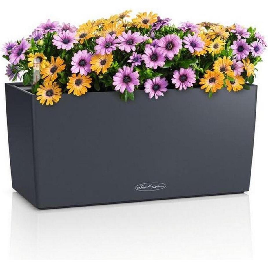 Lechuza, Vaso da fiori, BALCONERA Color 40 Grau/Schiefergrau (40 x 19 x 19 cm)