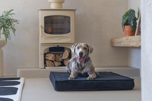 Image du produit Designed by Lotte Coussin pour cage Orthopaed Ribbed (Chien)