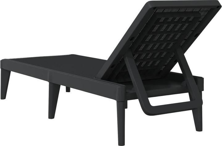 Image du produit VidaXL Sonnenliege Anthrazit 186x60x29 cm PP,Farbe: Anthrazit (186 cm)