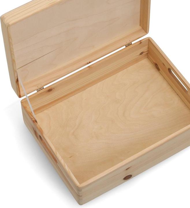 Image du produit Zeller Present Boîte polyvalente (30 cm, 17 l, 1x)