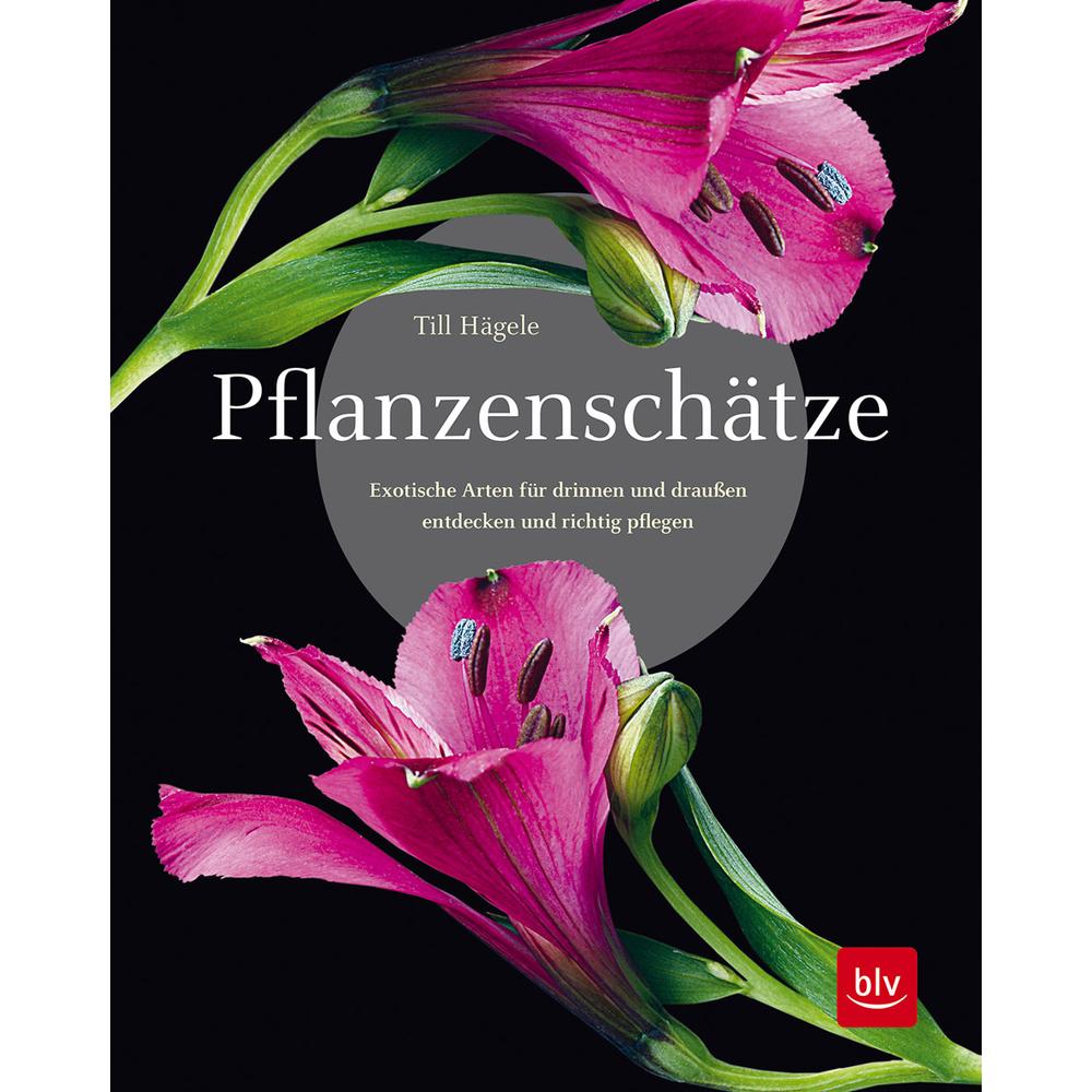 Thumbnail - Pflanzenschätze, Ratgeber von Till Hägele