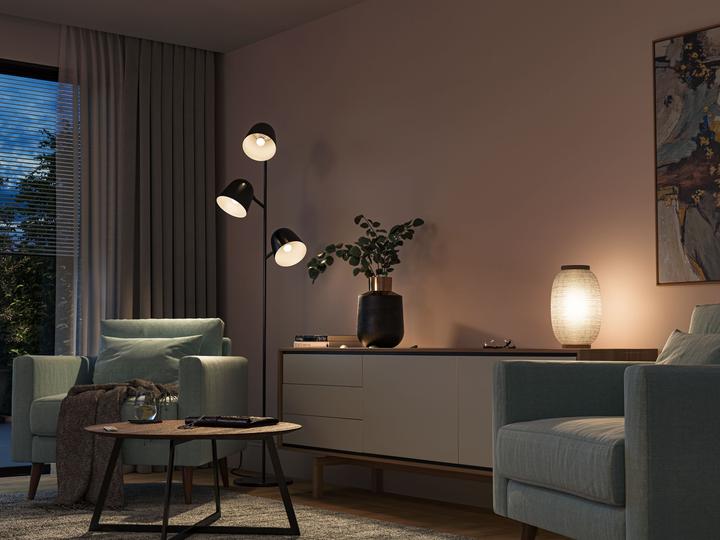 Actual product image Philips Hue White Luster (E14, 5.70 W, 470 lm, 2 x, G)