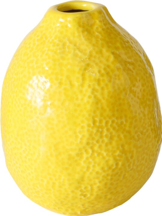 Produktbild Boltze Home Zitronella (1 x, Ø 9 x 12 cm)