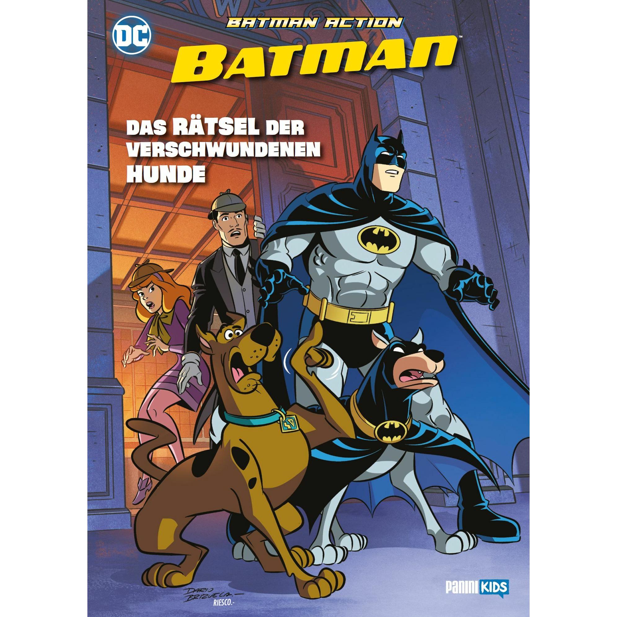 Fisch:Batman Action: Das Rätsel der ver, Belletristik