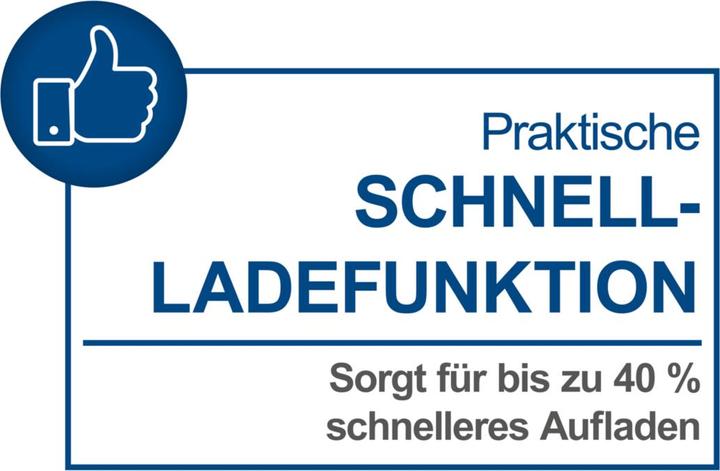 Actual product image Scheppach Charger SBC4.5A (20 V)