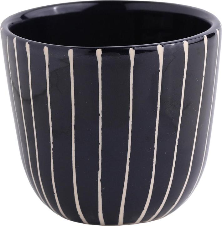 Black stripes
