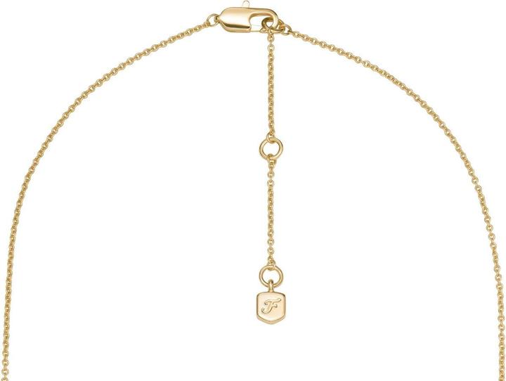 Image du produit Fossil JA7298710 Collier (Acier inoxydable, 45 cm)