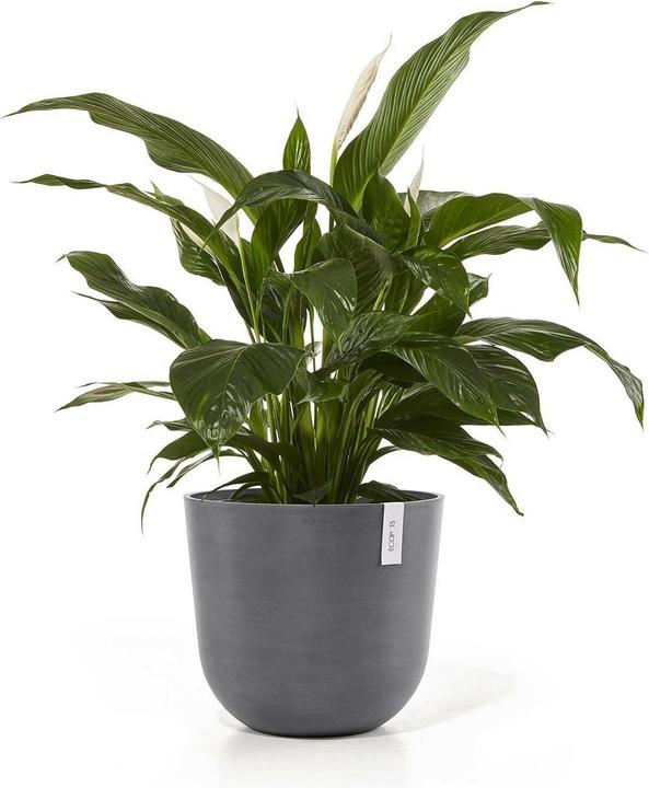 Produktbild Ecopots Oslo (45 x 40 cm)