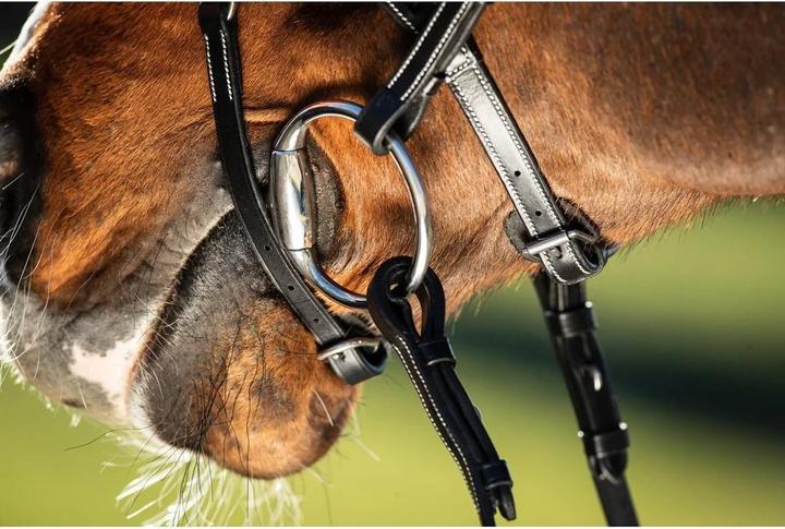 Produktbild HFI Master Techno