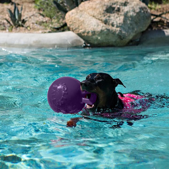 Immagine prodotto Jolly Pets Gioco per cani Tug-N-Toss