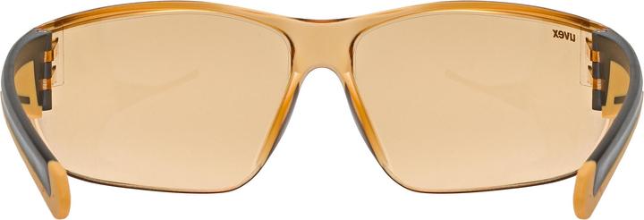 Actual product image Uvex Sports equate (smoke-orange, Orange)
