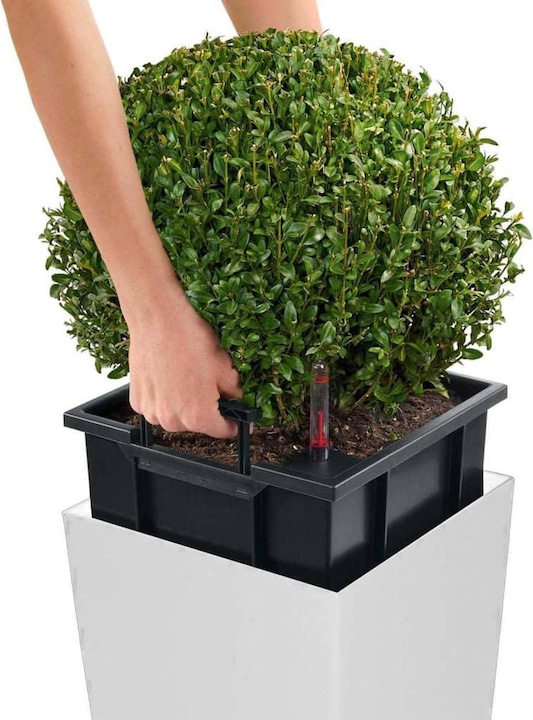 Actual product image Lechuza Cubico 30 (29.50 cm)