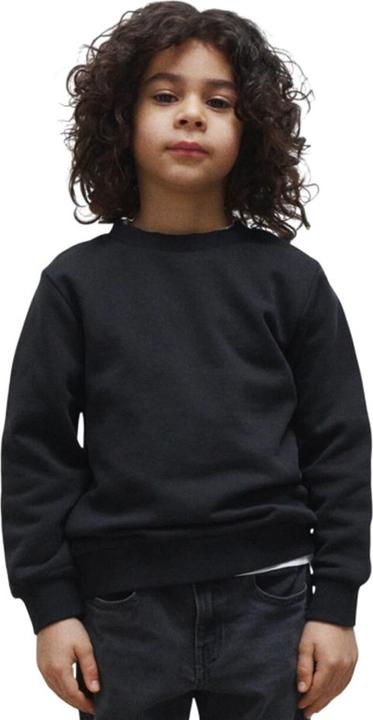 Produktbild True Blanks Sweatshirt (104, 98)