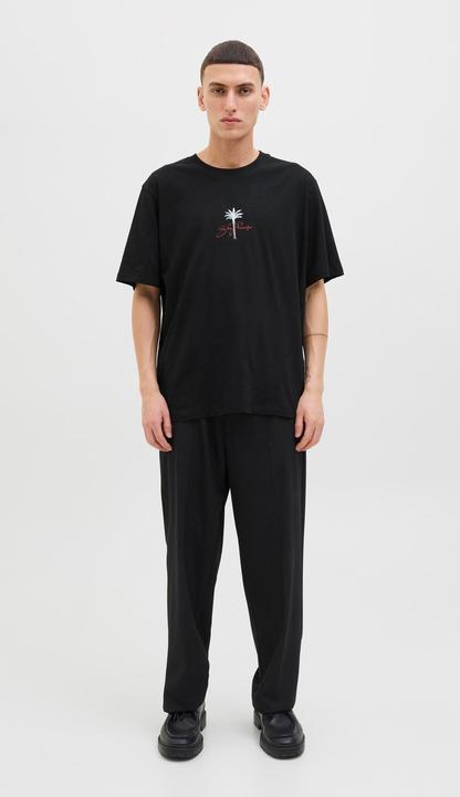 Image du produit Jack & Jones Jorbradley Goldengate Tee Ss C.N Stmss25 (M)