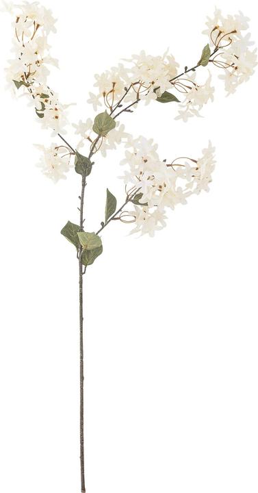 Immagine prodotto Bloomingville Myrtle (100 cm)