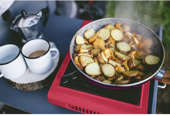 Productafbeelding Rothenberger Industrieel Gas Campingfornuis Gourmet Piezo RS 220 1500003730 Roestvrij Staal