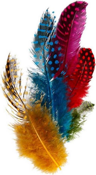 Creativ Company Assortiment de plumes de pintade