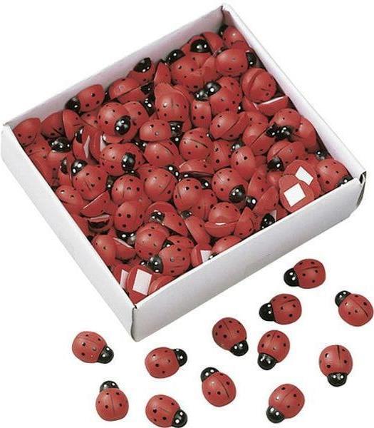 Image du produit Knorr Prandell Coccinelle (12 pcs)